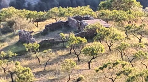 Photo 5 of Land for sale in Rambla Flores, Bayarque, Almería