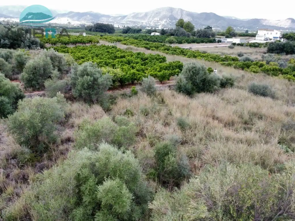 Rural land for sale in Pego, imagen 4