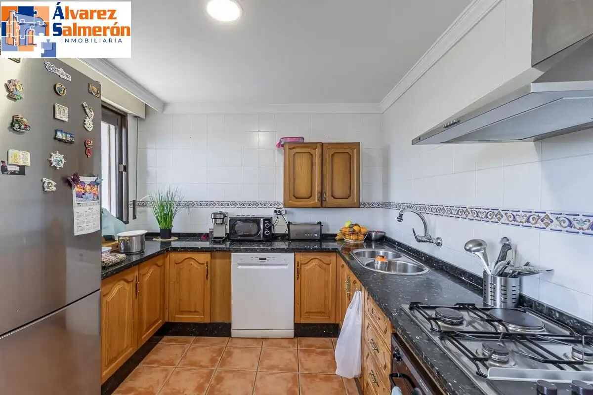House with garden for sale in Calle MOLINILLO, imagen 5