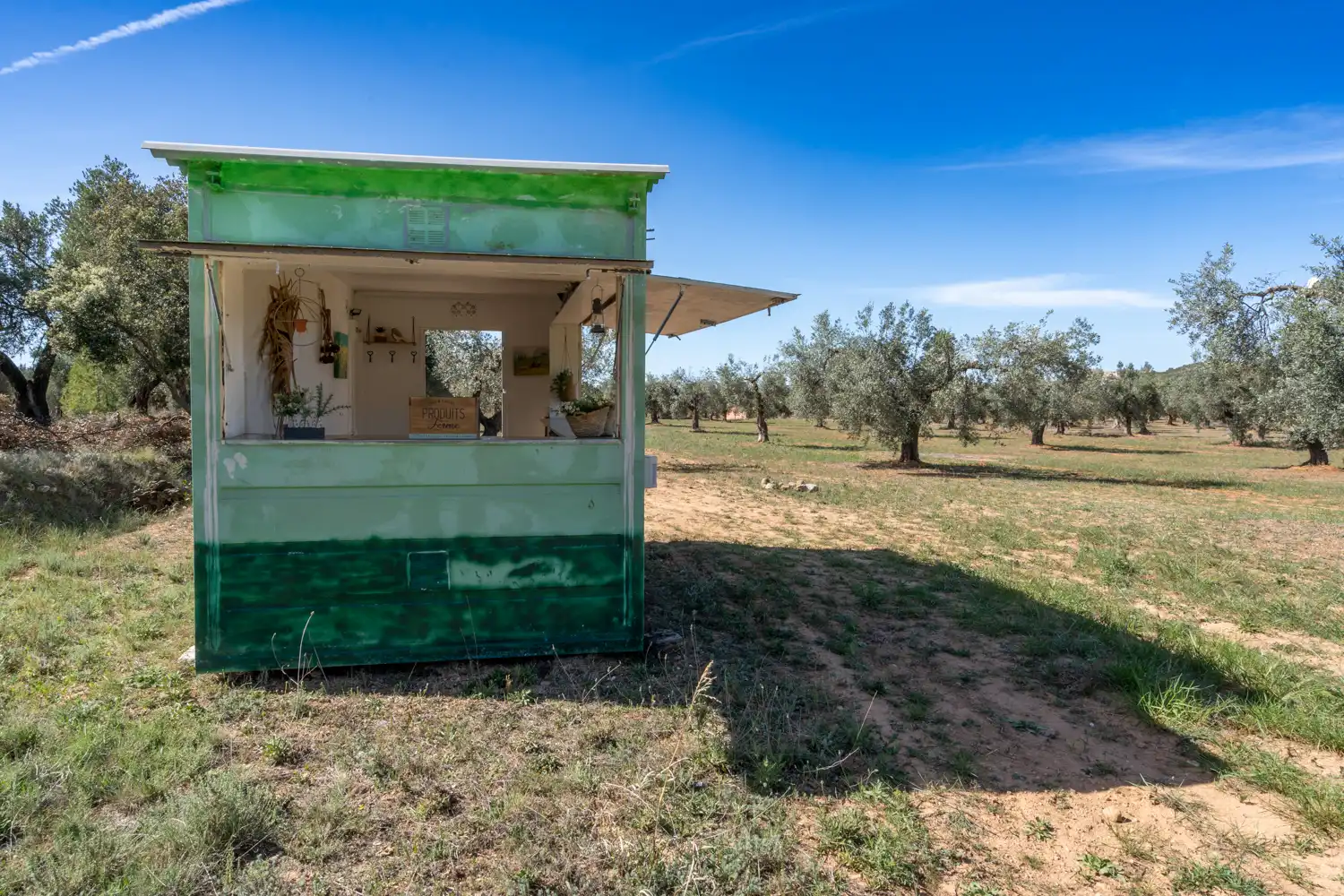 Rural land for sale in Raval dels Àngels 18, imagen 34