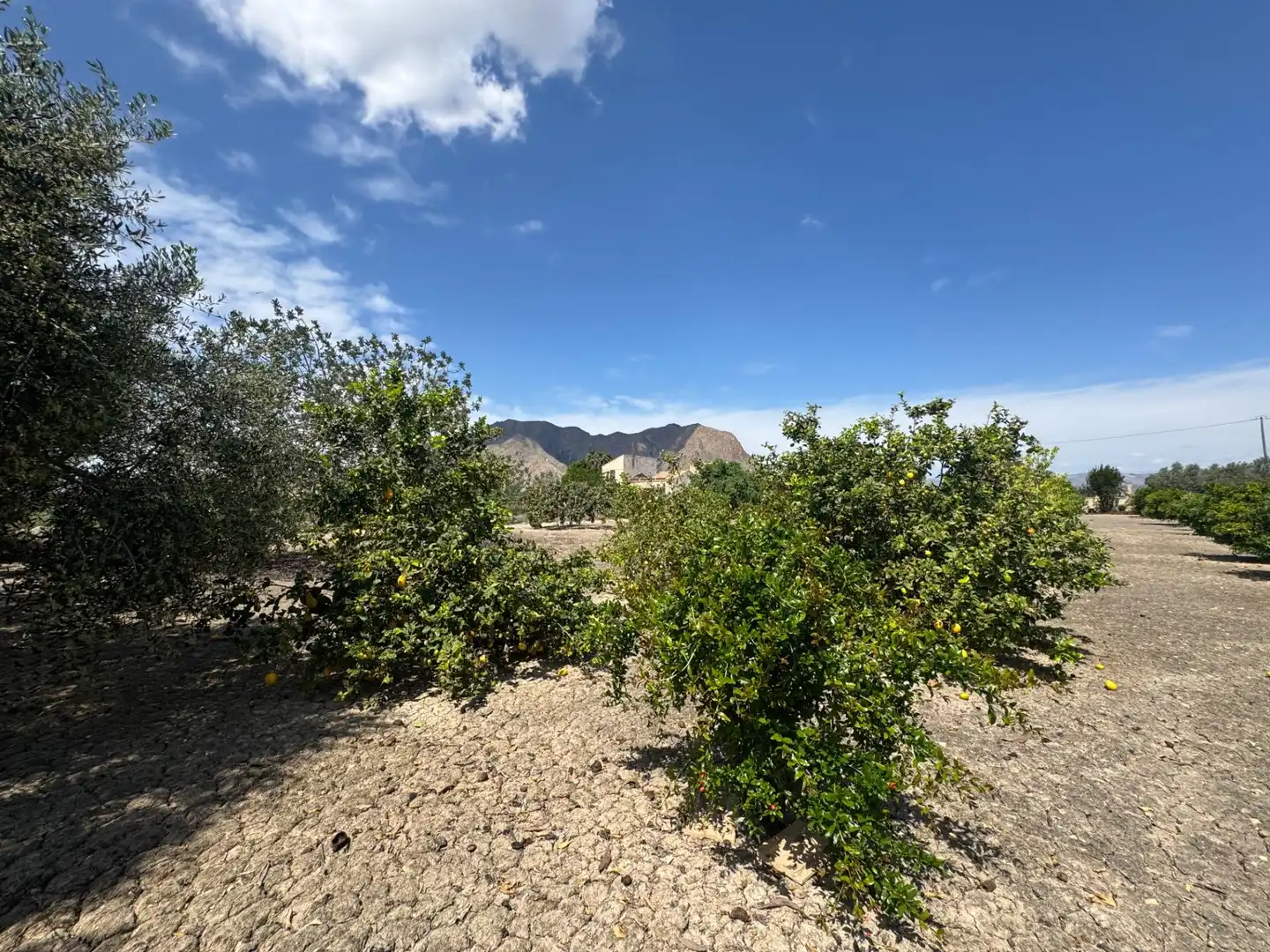 Casa en venta en Callosa de Segura, imagen 18