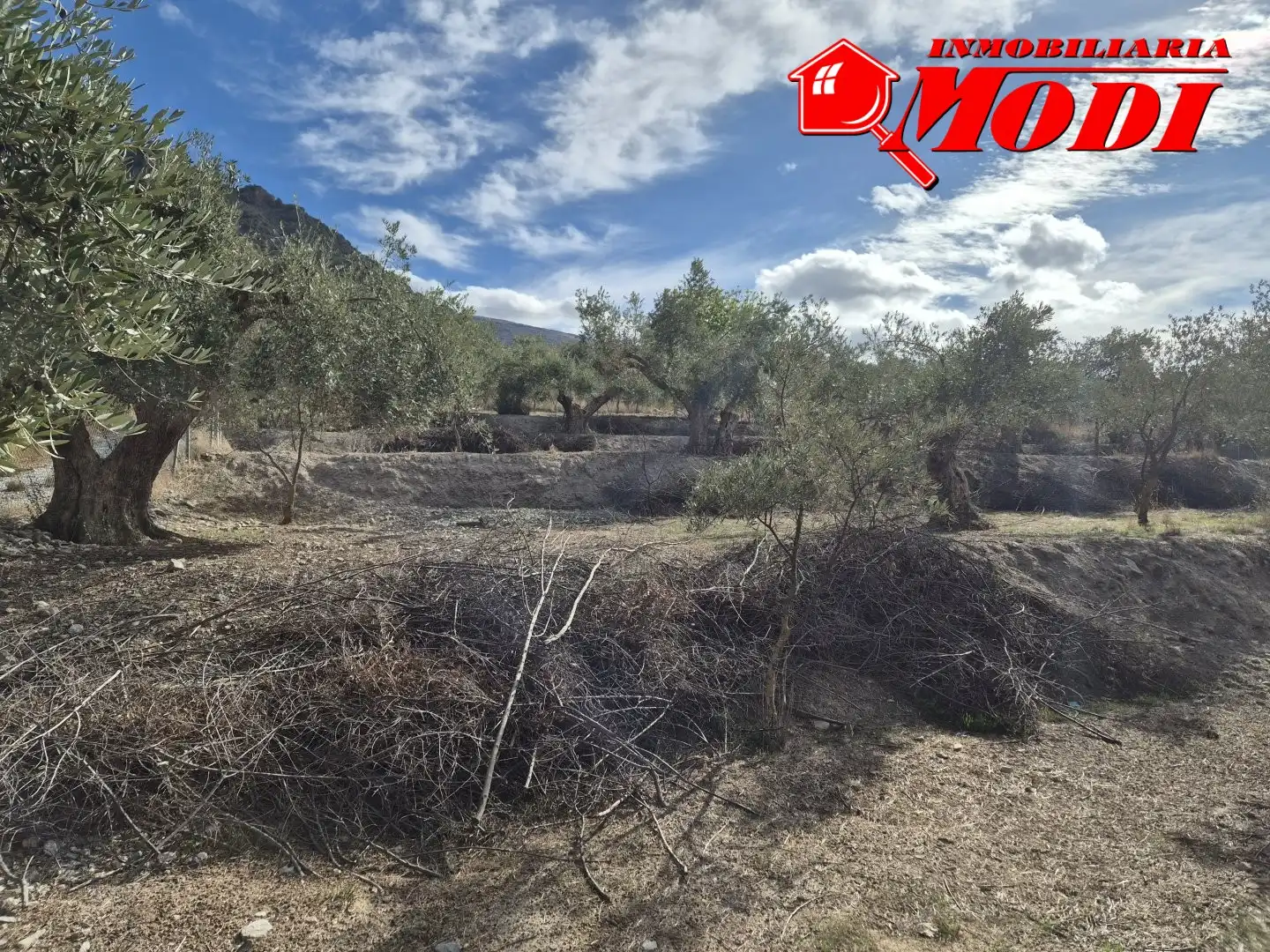 Lands and plots for sale in Dúrcal, imagen 4