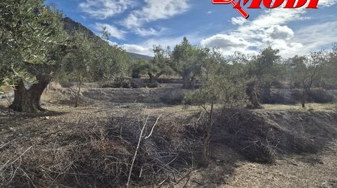 Oportunidad Única en Dúrcal! Finca Rústica con Encanto y Potencial Agrícola.Descubra esta magnífica finca rústica en el corazón de, immagine 4