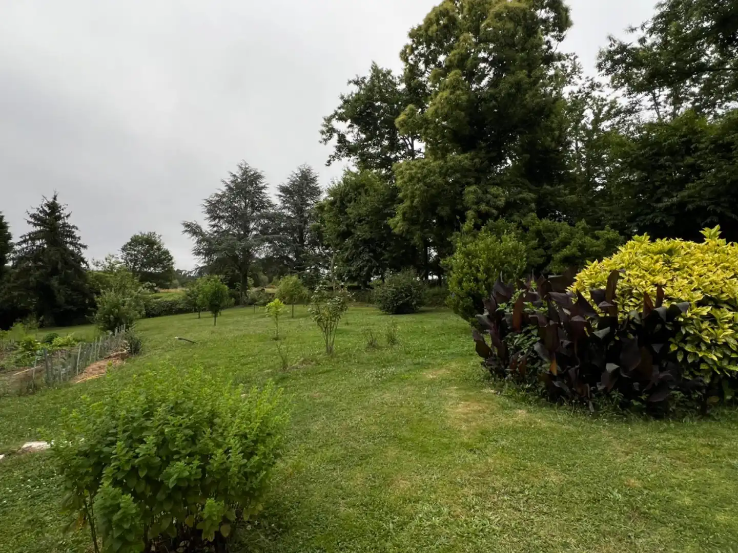 Casa o xalet en venda en Celanova amb Calefacció, Jardí privat i Terrassa