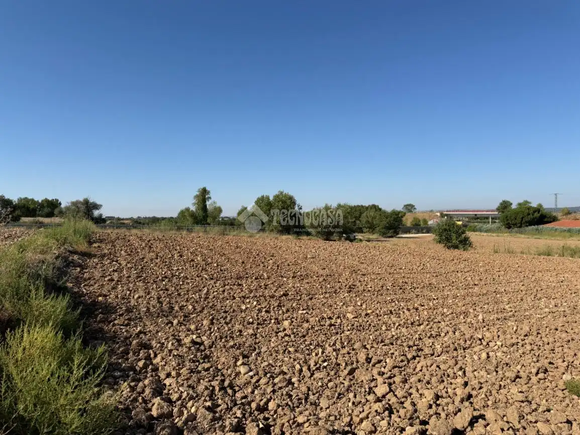 Terreny rústic en venda a Fuente El Saz de Jarama, imagen 2