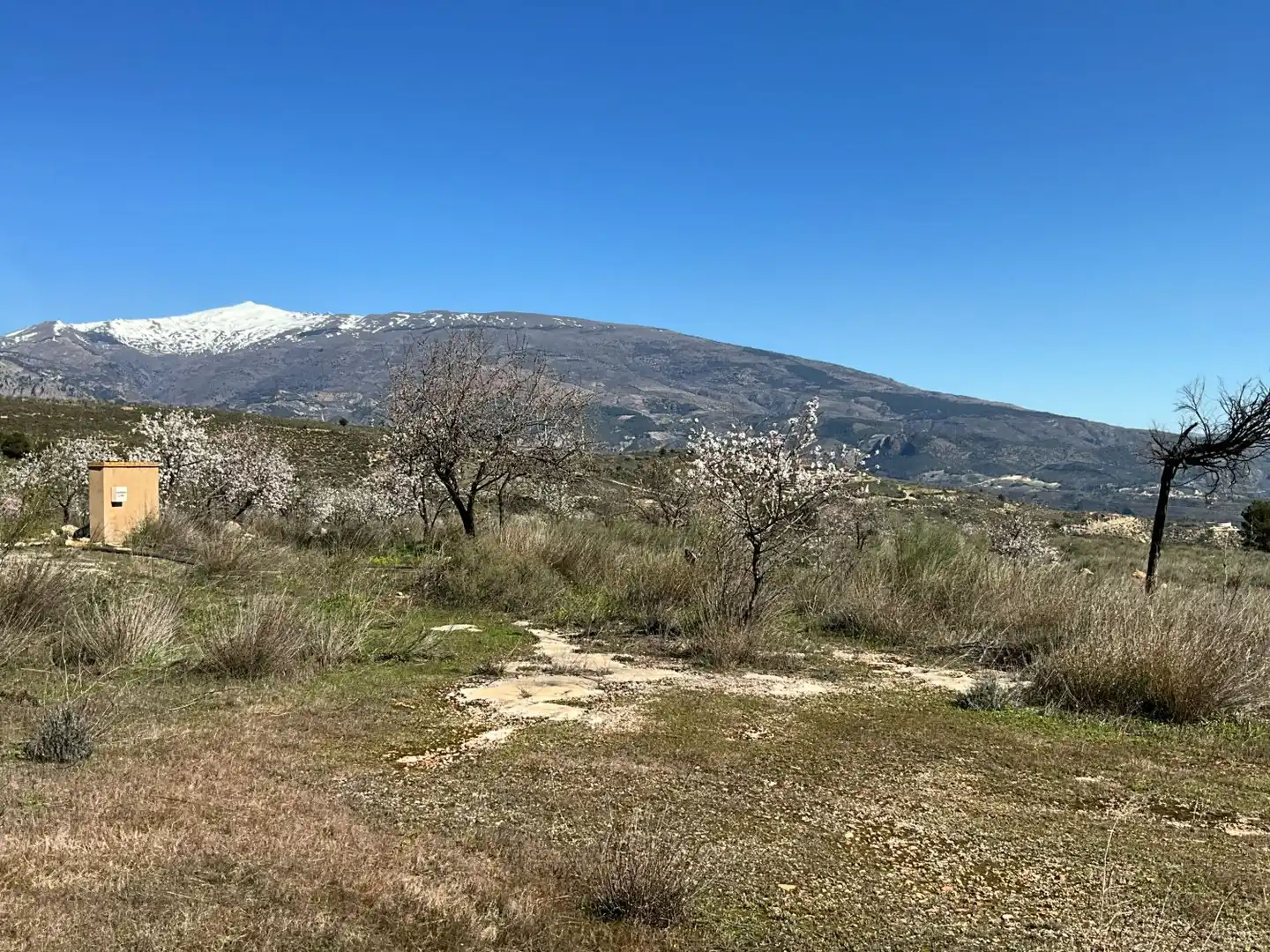 Terreni e lotti in vendita a El marchal, El valle, imagen 42
