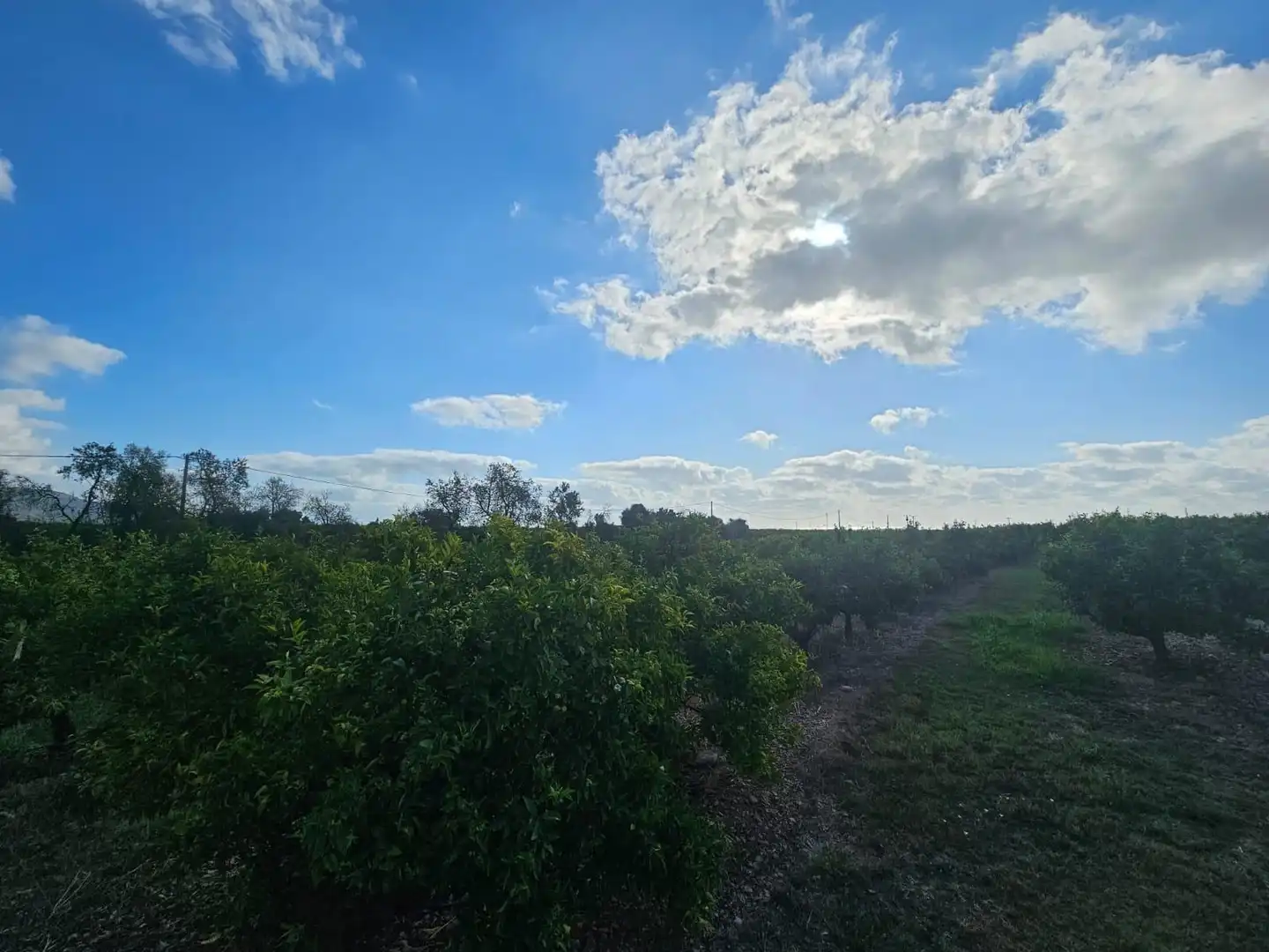 Country house for sale in Alcanar, imagen 12