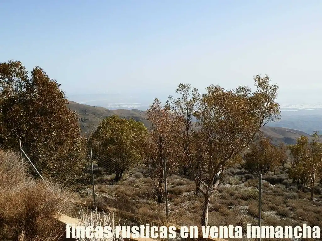 Terreny rústic en venda a Pechina, imagen 14