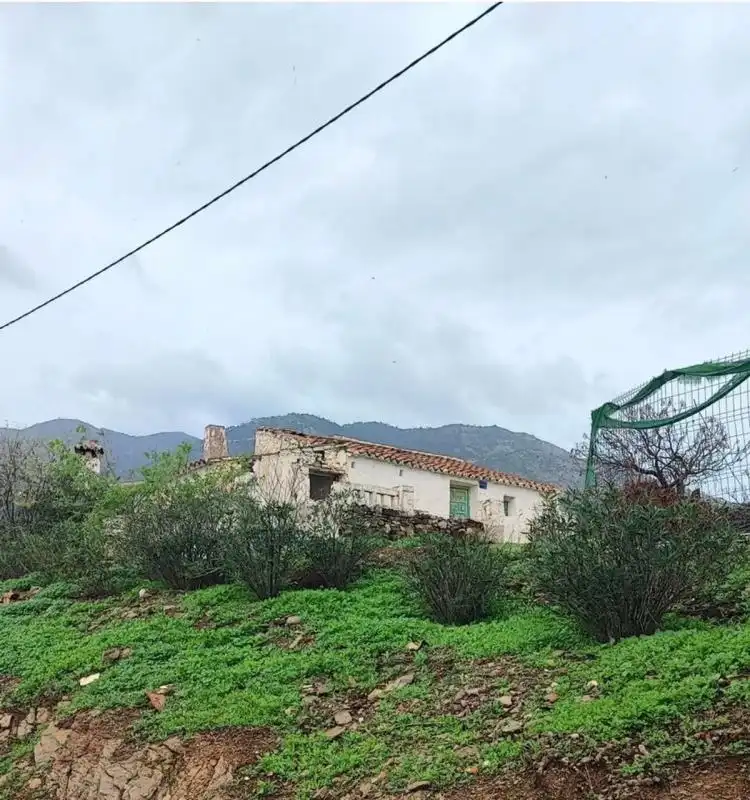 Terreni e lotti in vendita a Diseminado la Alqueria, imagen 12
