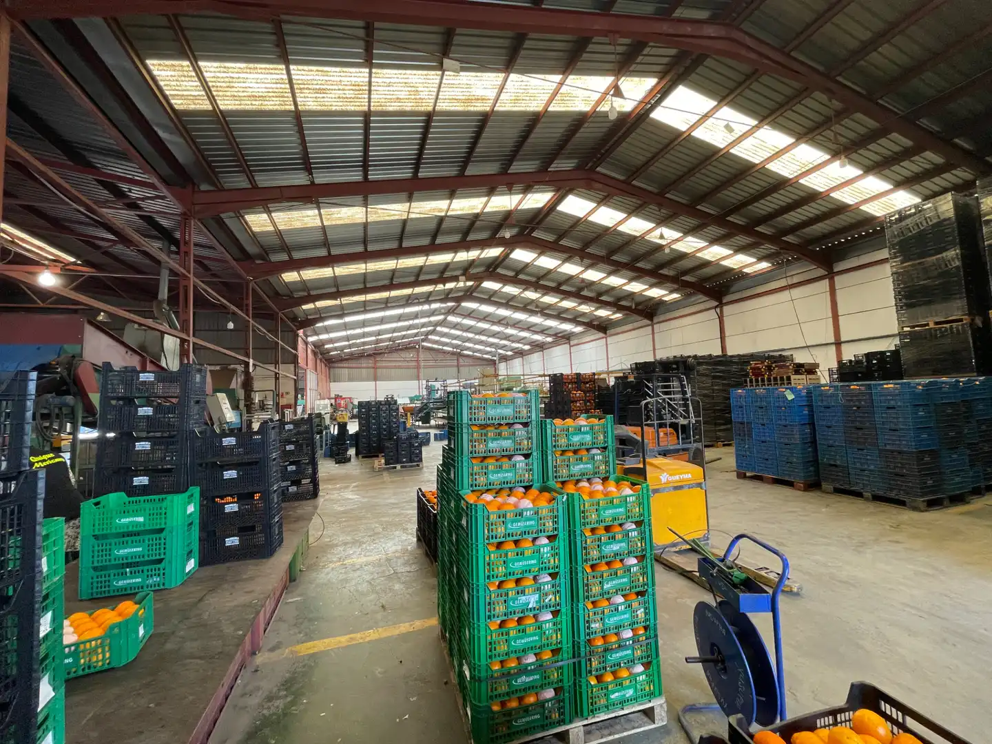 Nau industrial en venda a Carrer d'Algímia d'Alfara, 2, Na Rovella - Hermanos Maristas