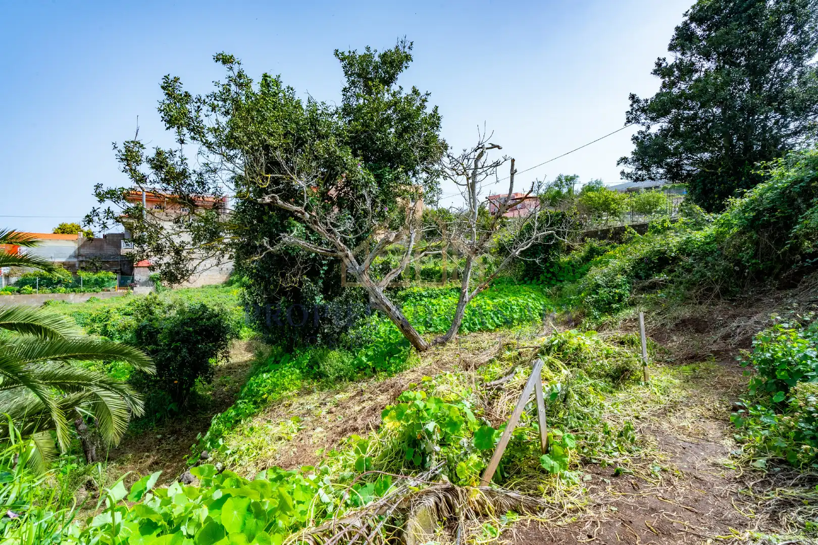 Finca rústica en venda en La Victoria de Acentejo