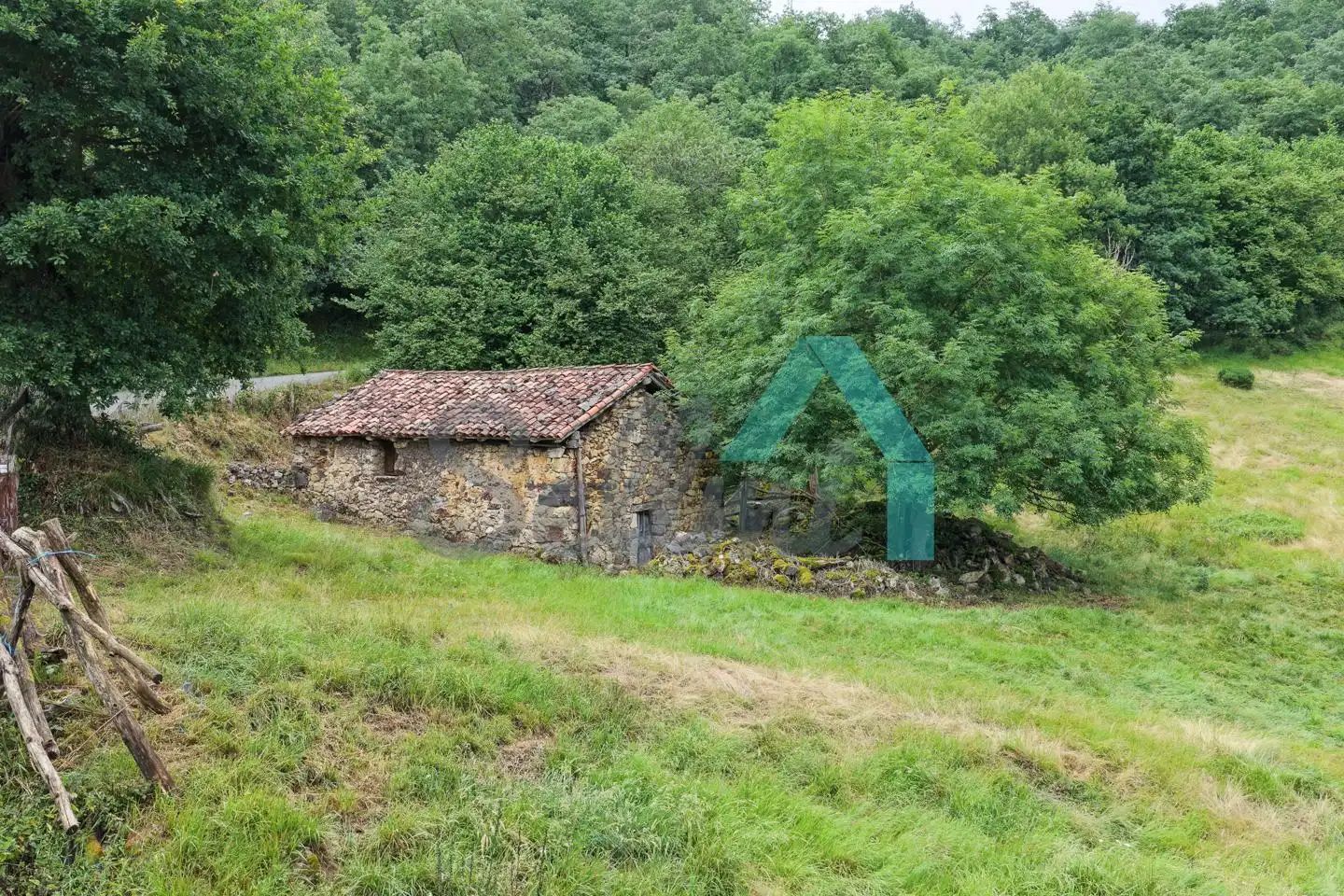 Land for sale in Proaza