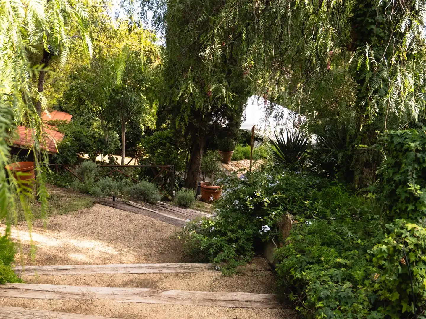 Jardín de Casa o chalet en venta en Premià de Dalt con Aire acondicionado, Terraza y Balcón