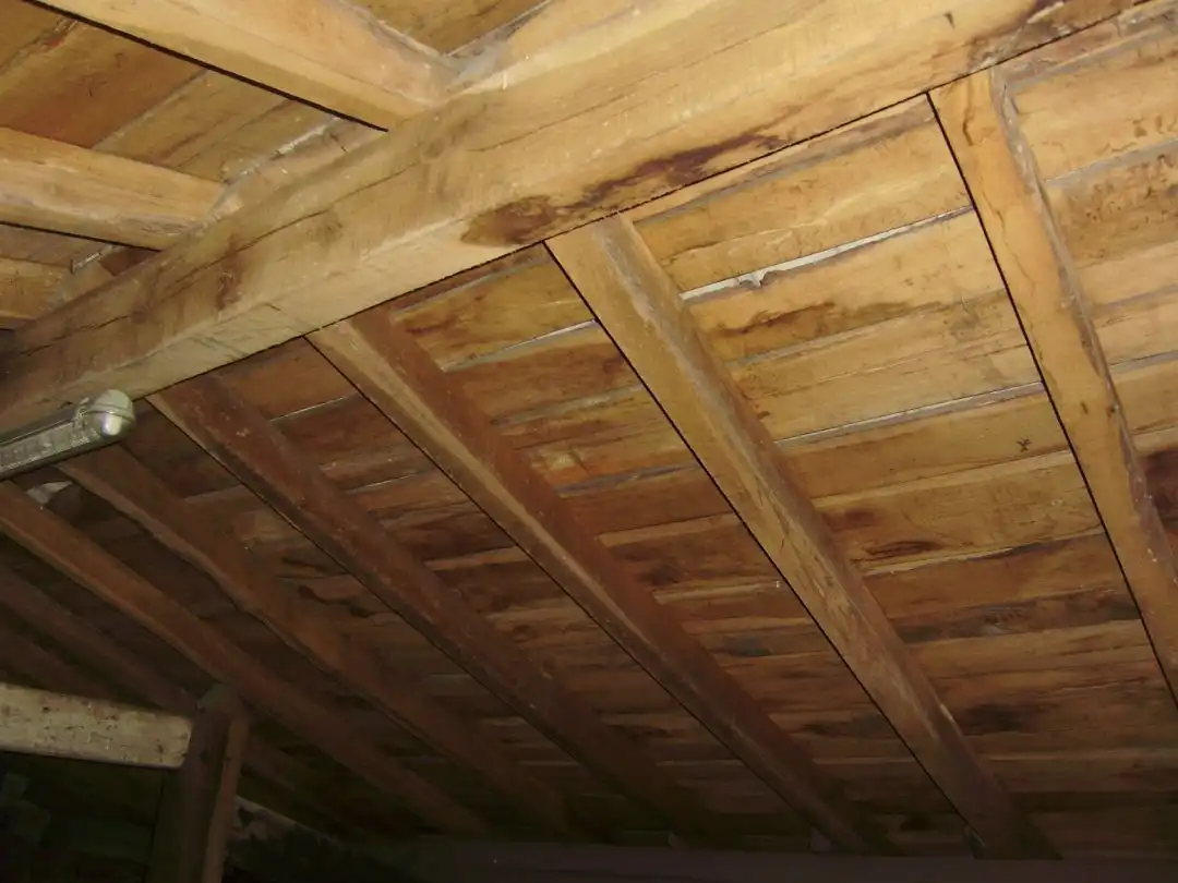 Maison avec terrasse à vendre à Amorebieta-Etxano, imagen 70