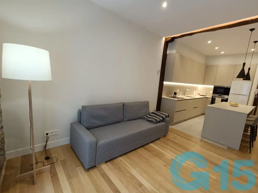 Sala d'estar de Pis de lloguer en Donostia - San Sebastián  amb Calefacció, Terrassa i Rentadora
