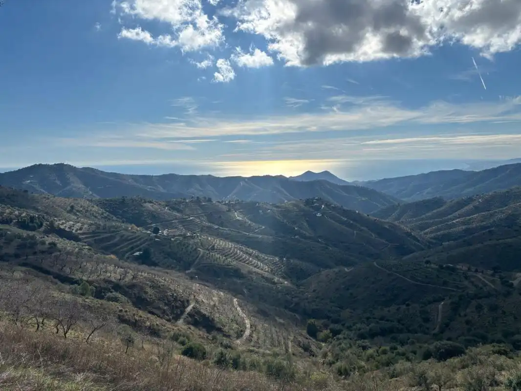 Terreni e lotti in vendita a Cam. Altos de Jaboneros, imagen 14