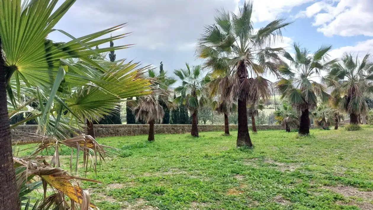 Casa o chalet en venta en Lloret de Vistalegre