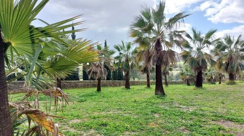 Foto 4 de Casa o xalet en venda a 0, -1, Lloret de Vistalegre, Illes Balears