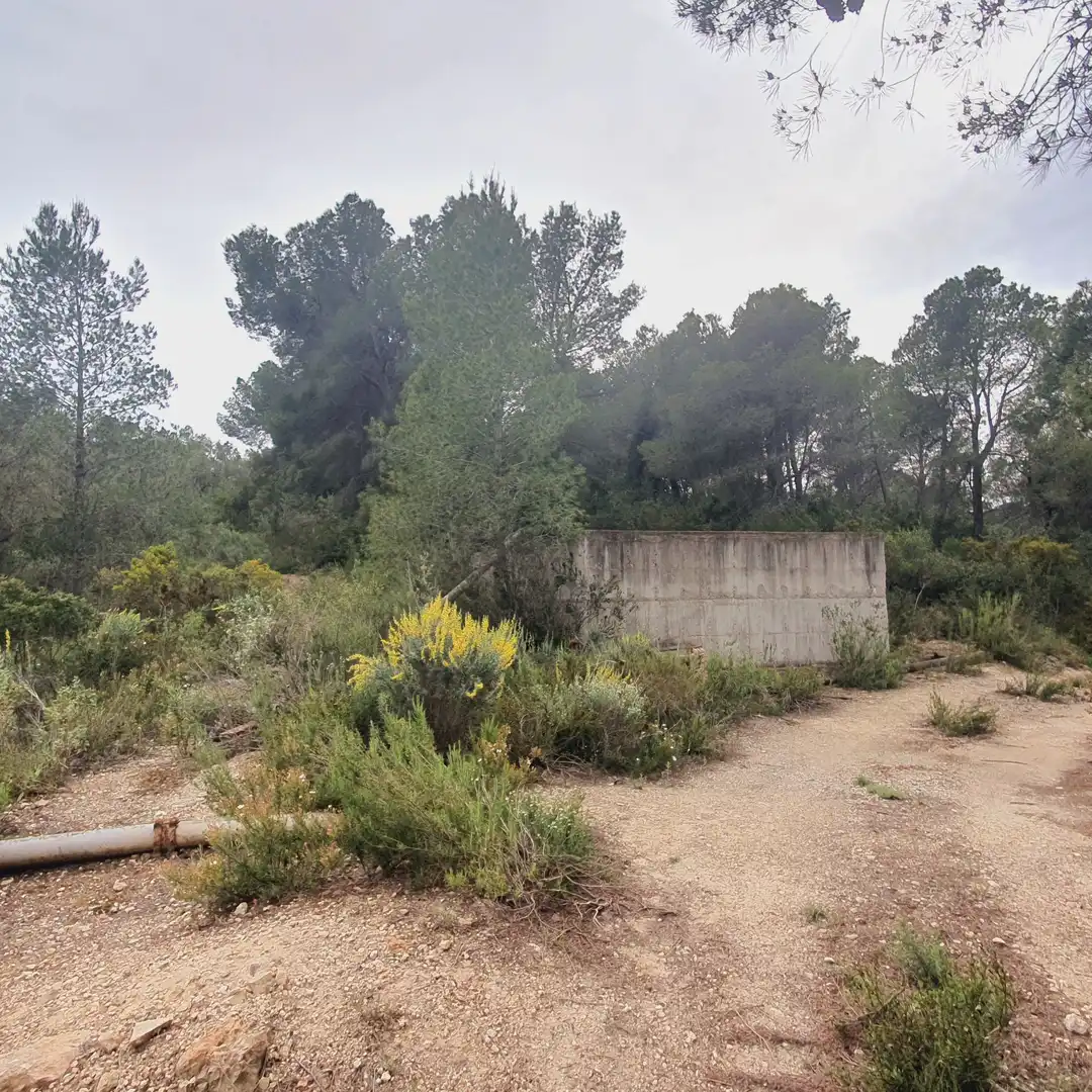 Terrain rustique à vendre à Benifallet, imagen 7