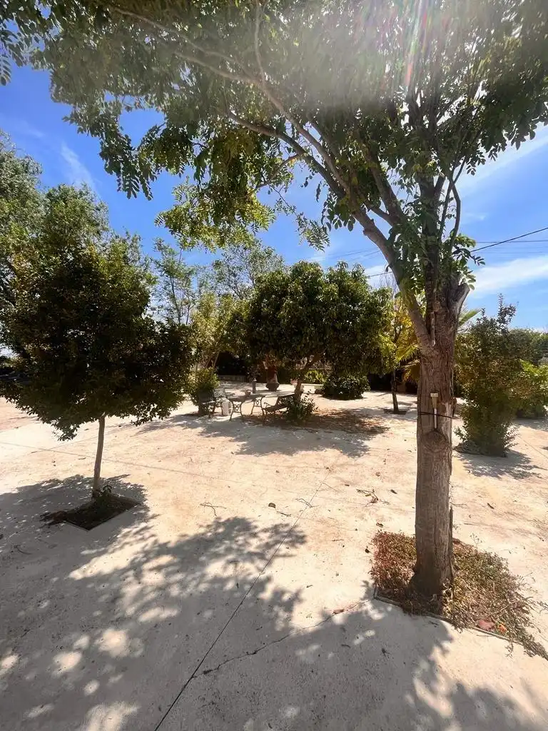 Vista exterior de Casa o xalet en venda en Córdoba amb Aire condicionat, Jardí privat i Terrassa