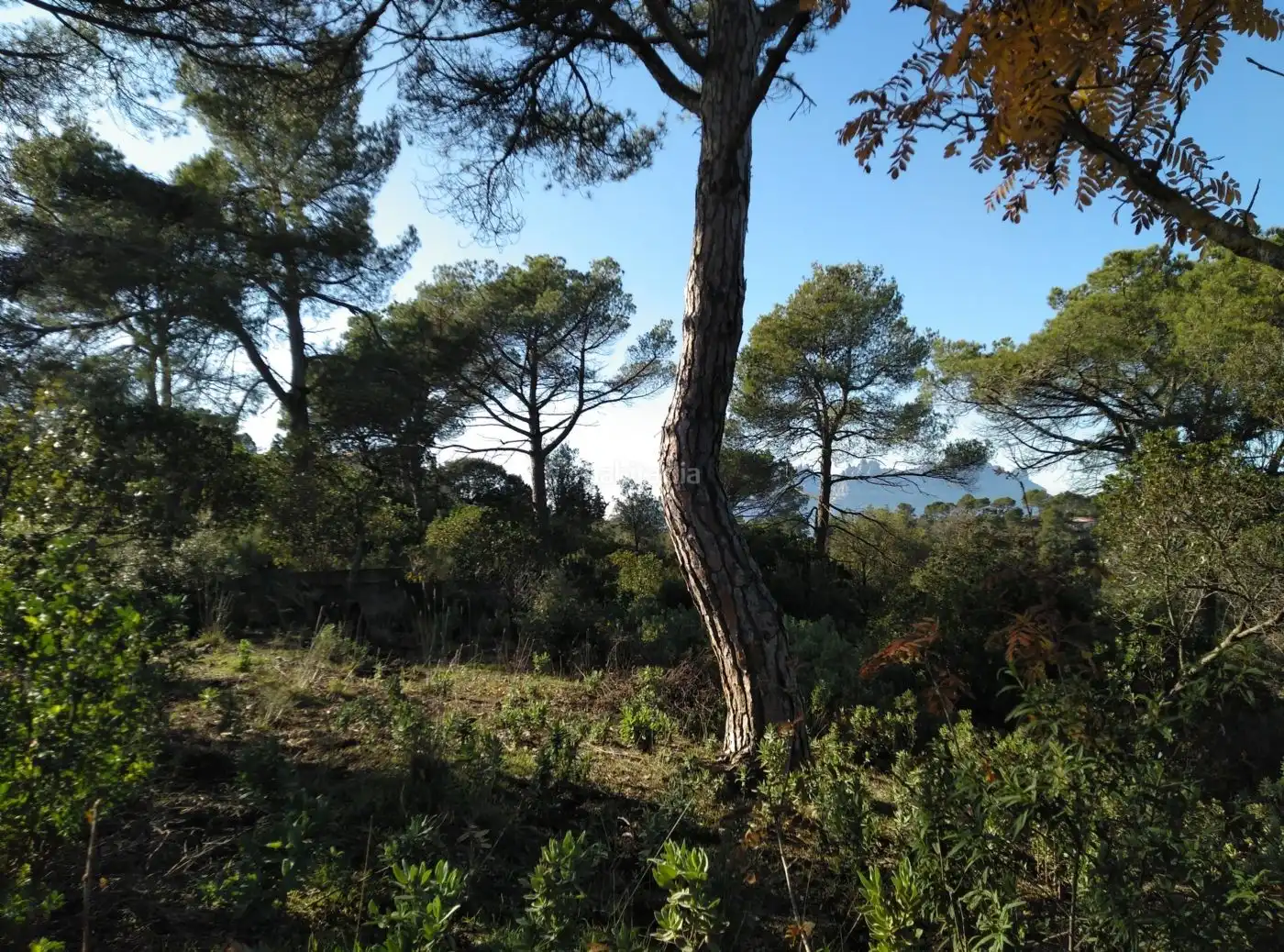 Terreny residencial en venda a Carrer Torrent del Llort 37, imagen 8