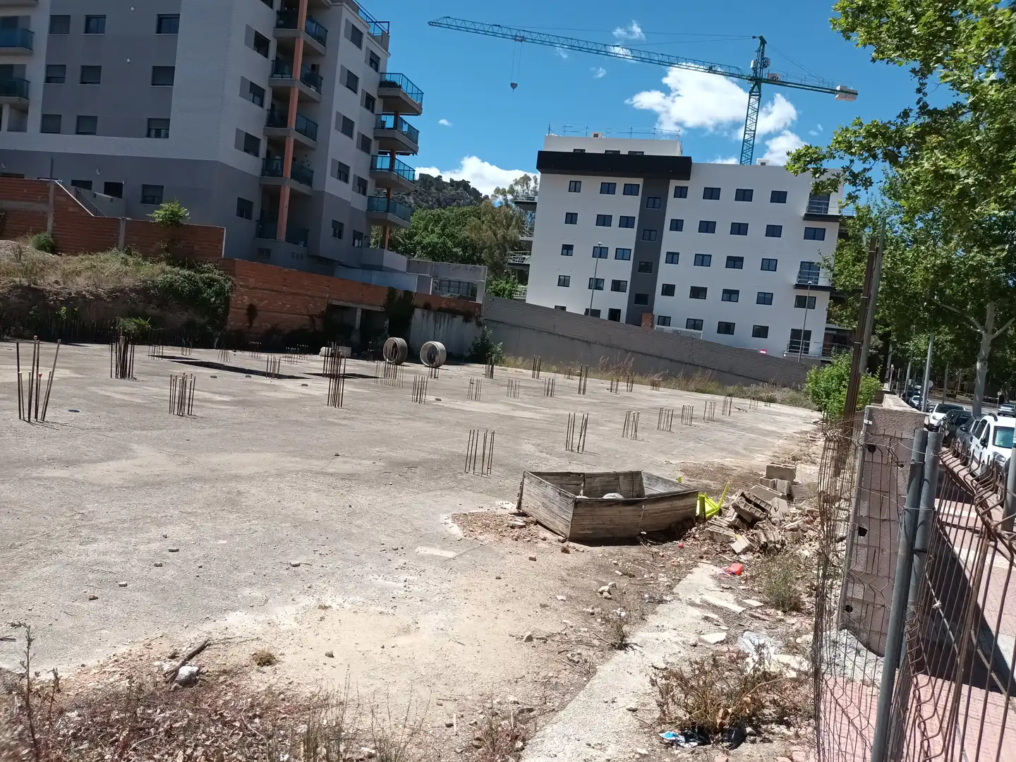 Altri in vendita a PINTOR JUAN FRANCES, imagen 18