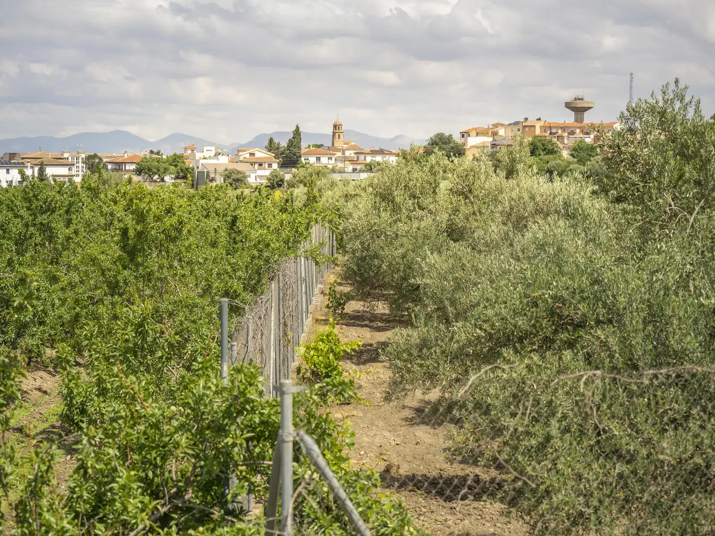 Terreni e lotti in vendita a Carretera de Granada - La Alcazaba, imagen 6