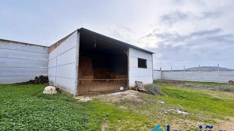 Photo 5 of House or chalet for sale in Los Corrales, Sevilla