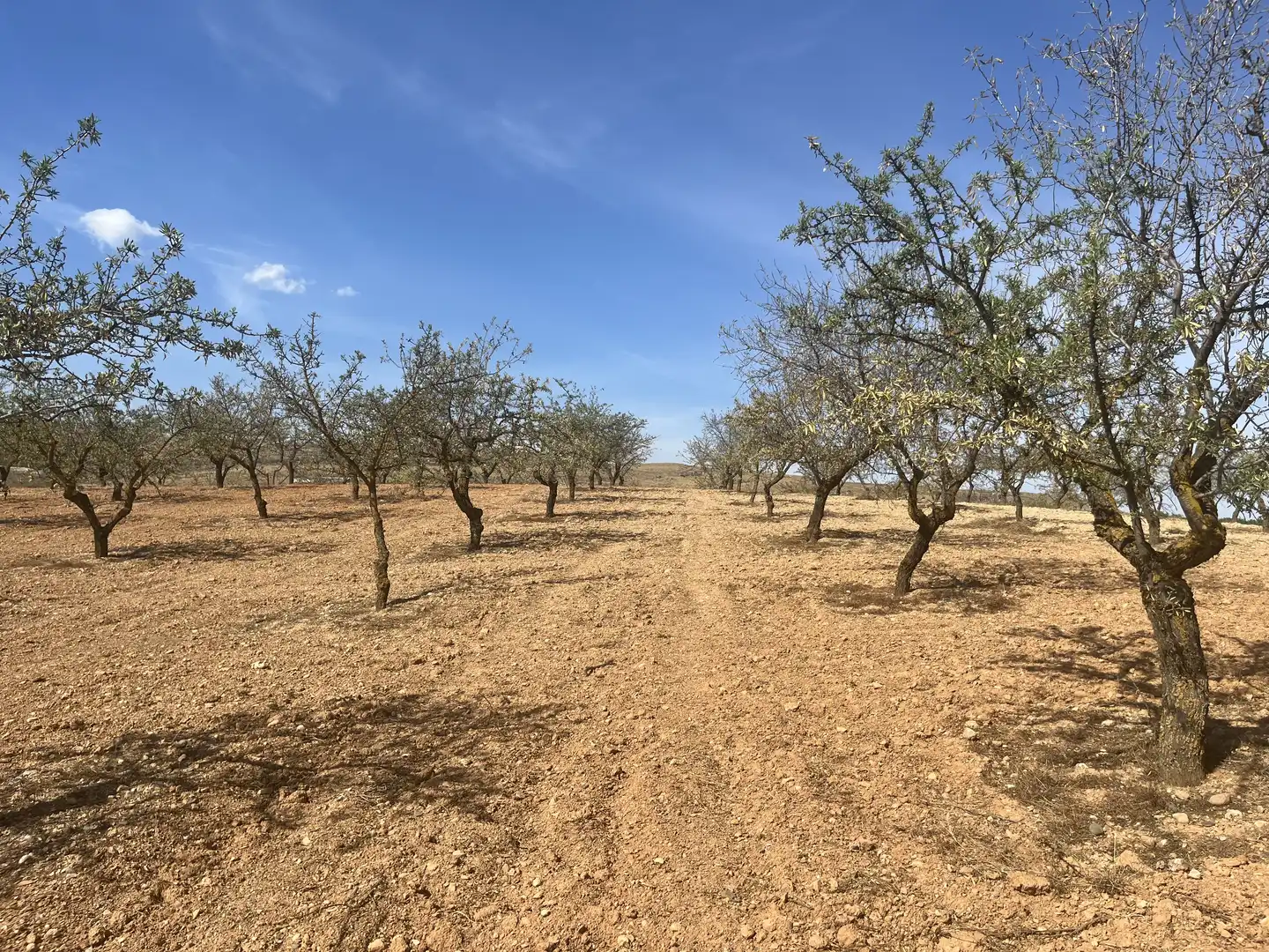 Rustikales Grundstück zum Verkauf in Avenida de Andalucía, imagen 4