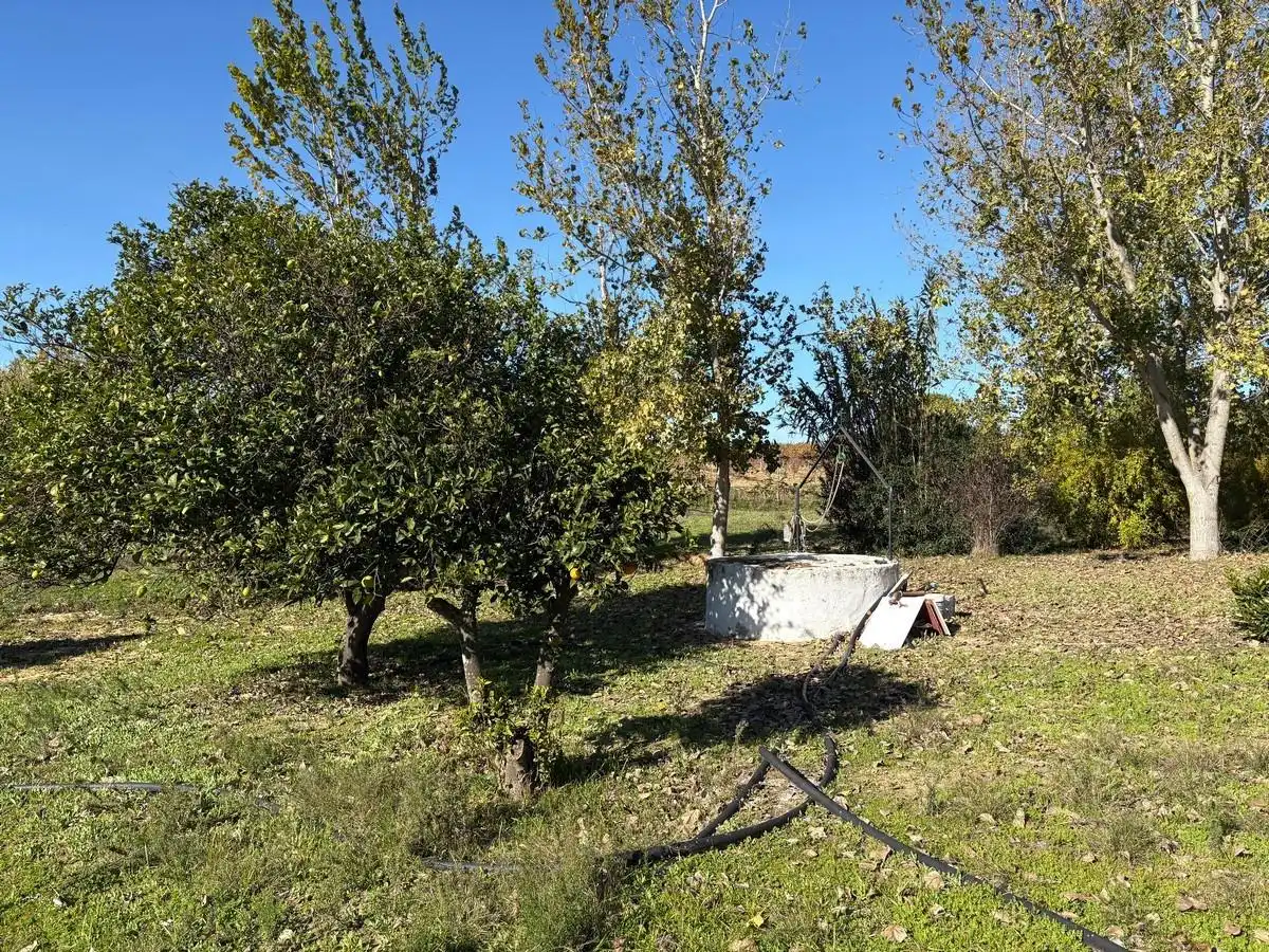 Terreni e lotti in vendita a Bollullos Par del Condado, imagen 10