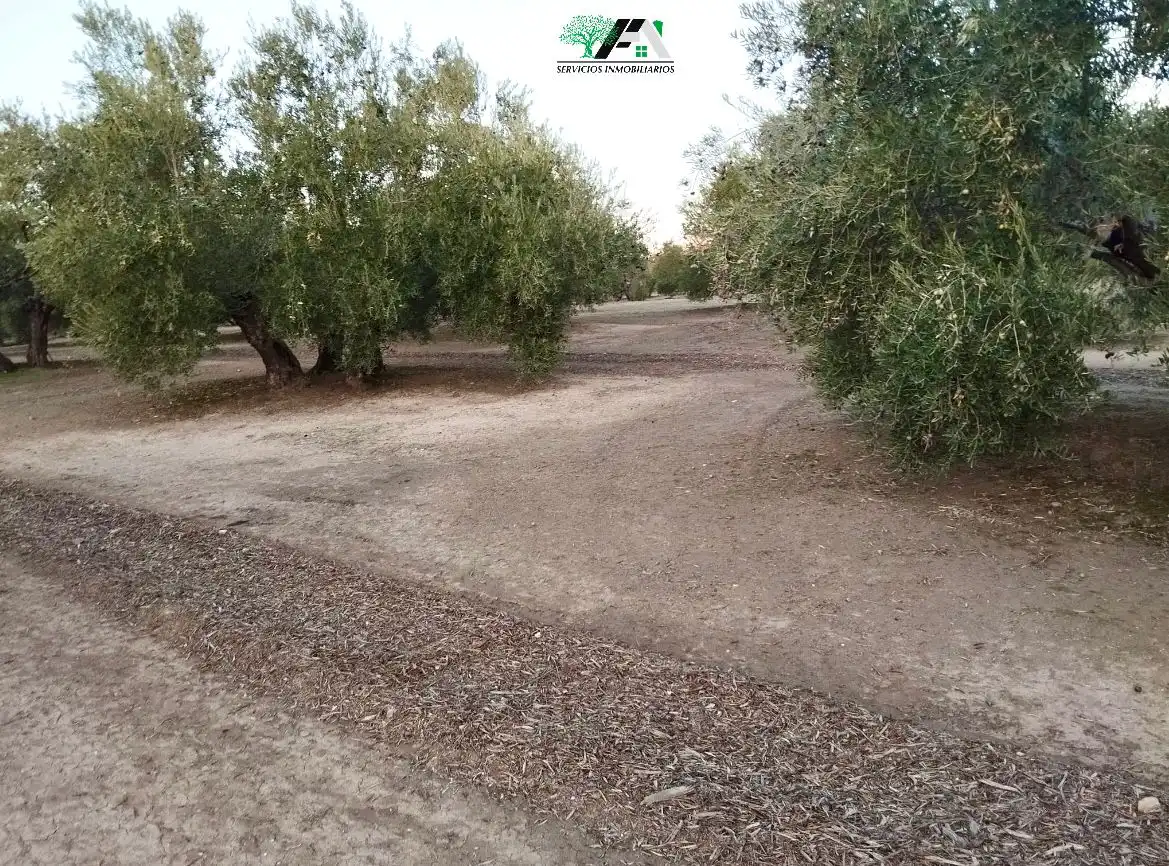 Terreni e lotti in vendita a Travesia de Linares, imagen 2