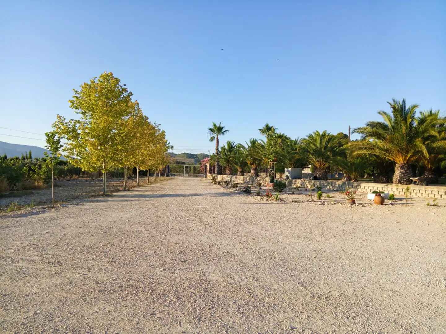 Villa con piscina in vendita a Carretera Elda-Sax, imagen 15
