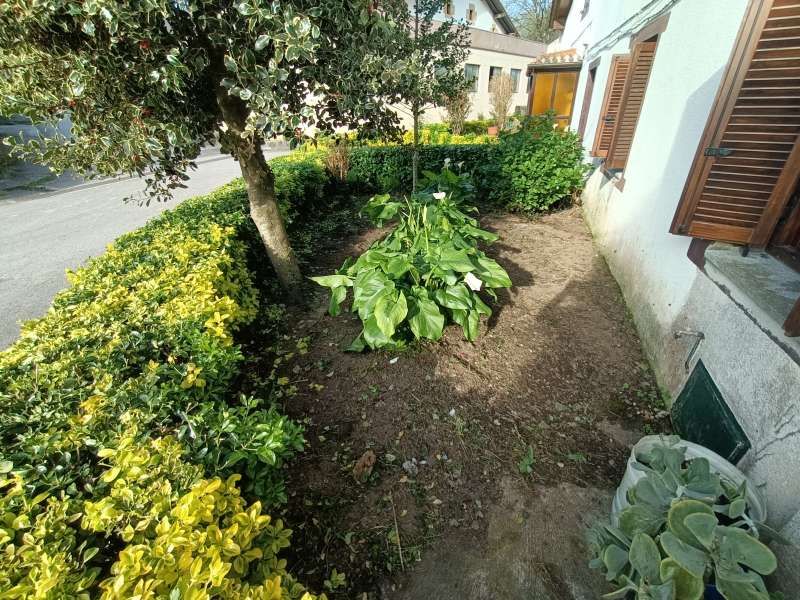 Jardí de Casa o xalet en venda en Berriz amb Jardí privat