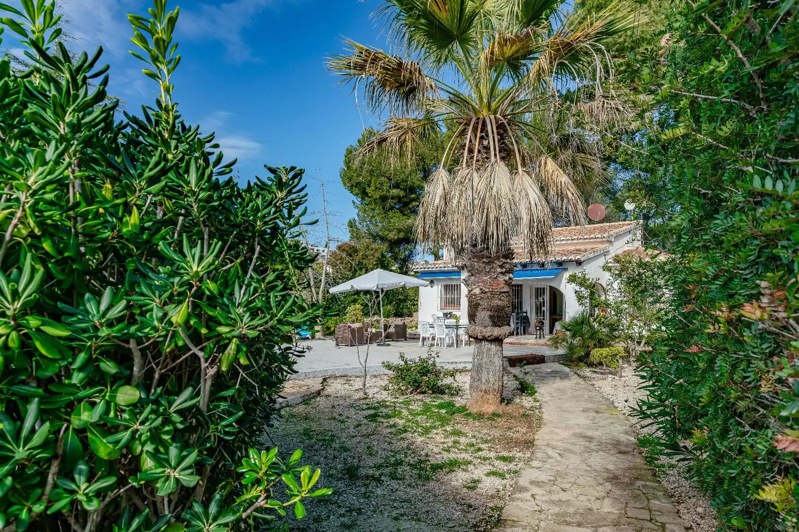Haus mit Garten zum Verkauf in Paichi, imagen 19