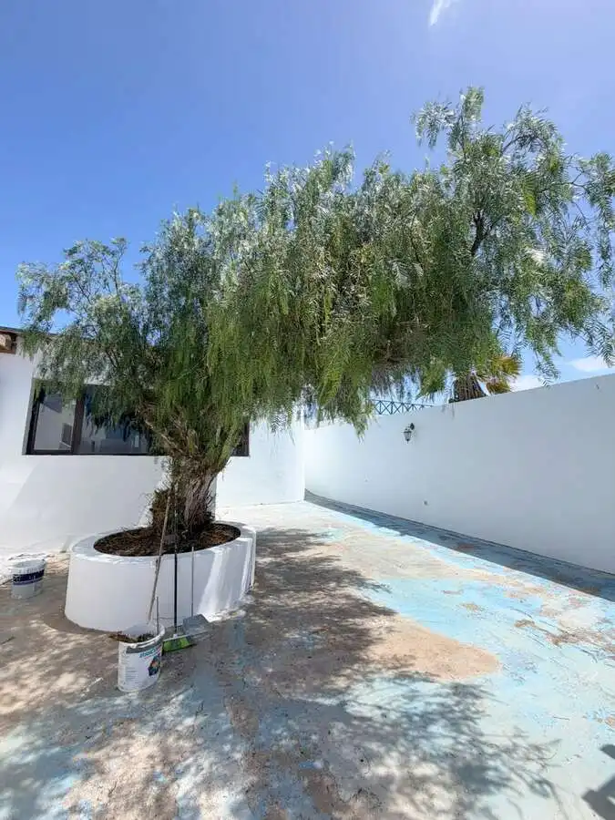 Vista exterior de Casa o chalet en venta en San Bartolomé con Terraza y Piscina
