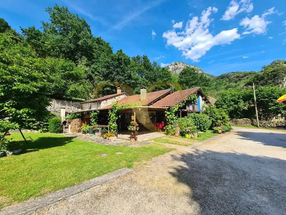 Casa o xalet en venda en Peñamellera Alta amb Calefacció, Jardí privat i Terrassa