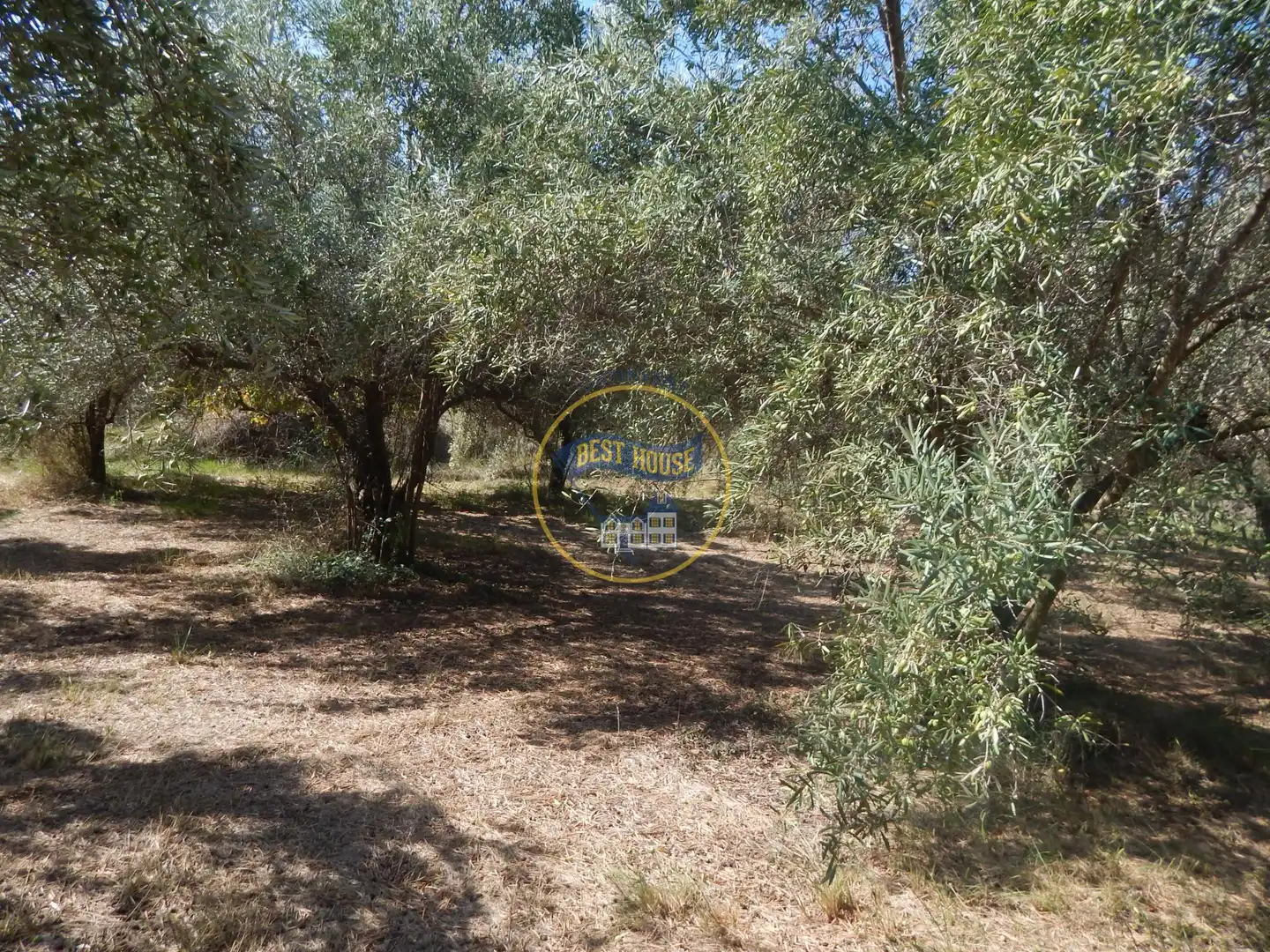 Terrain rustique à vendre à Sant Josep - Zona Hospital, imagen 17