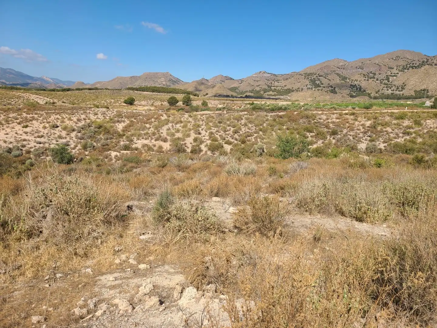 Terrains et parcelles à vendre à Pedanías Centro, imagen 26