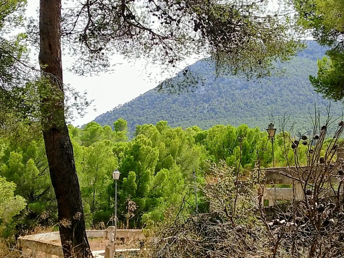 Vista exterior de Finca rústica en venta en Tibi con Jardín privado y Terraza