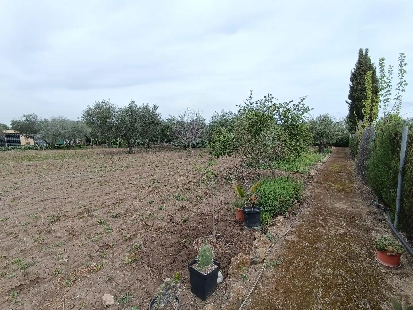 Terreni e lotti in vendita a Villamartín, imagen 18