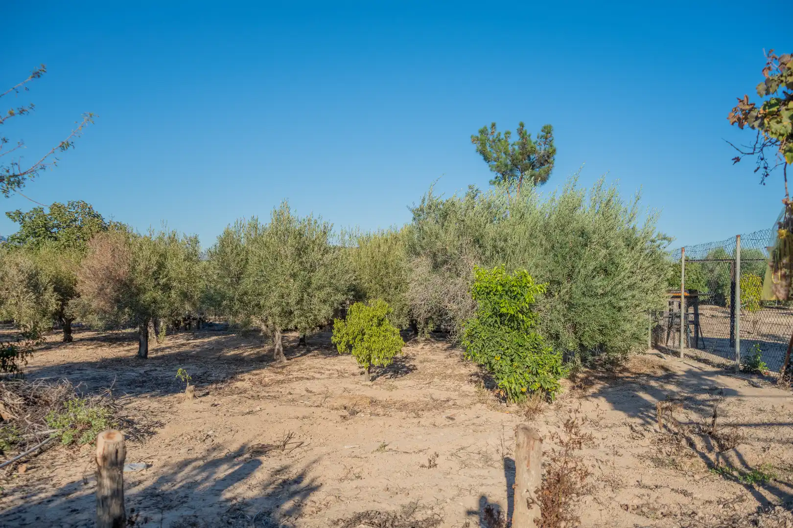 Casa o chalet en venta en Molina de Segura con Aire acondicionado, Jardín privado y Terraza