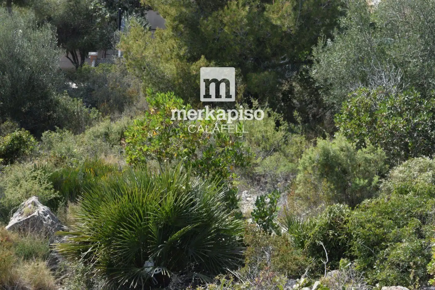 Terreny rústic en venda a SANTA MARIA DE MONTSERRAT, imagen 9