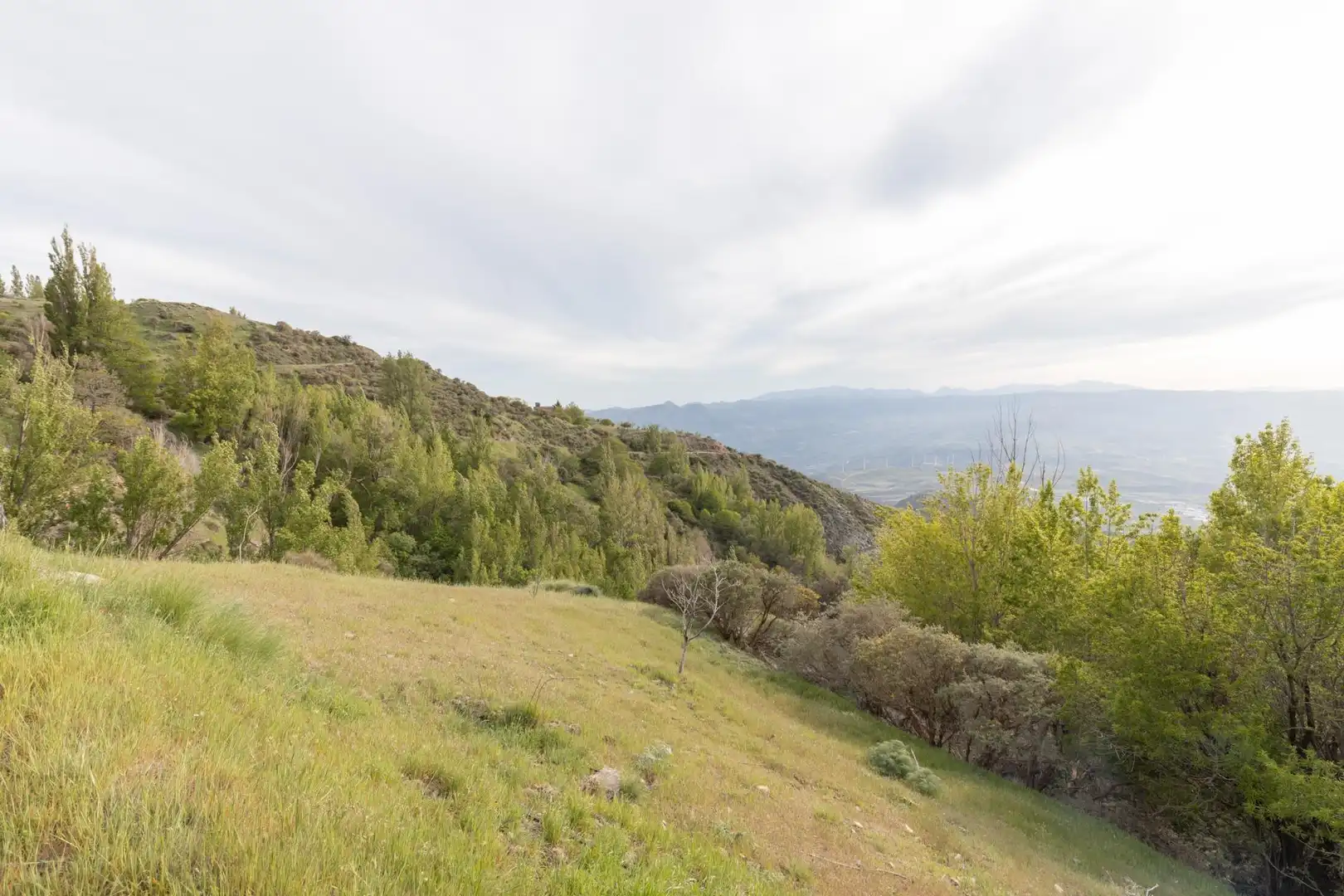 Finca rústica en venta en Nigüelas con Amueblado