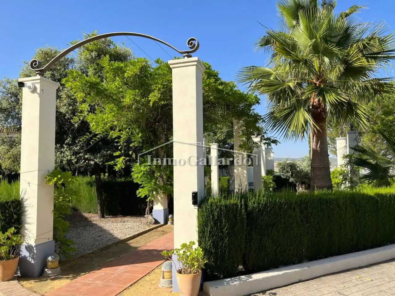 Exterior view of Buildings for sale in Lucena