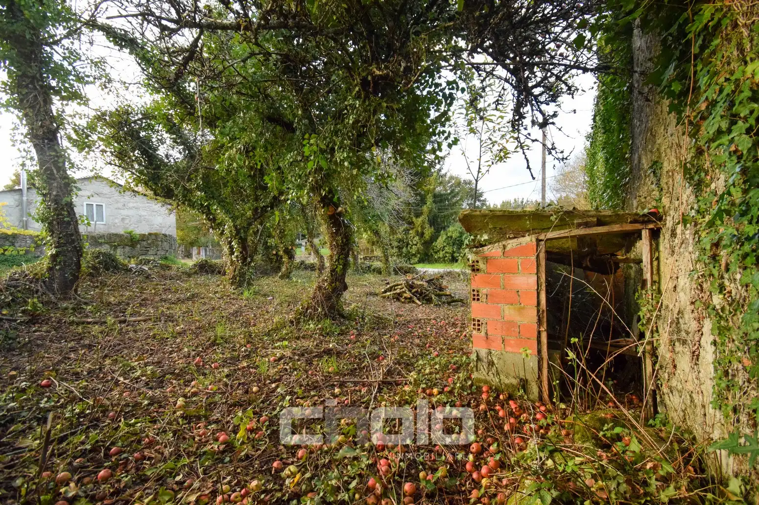 Casa en venta en Parroquias del Este, imagen 12