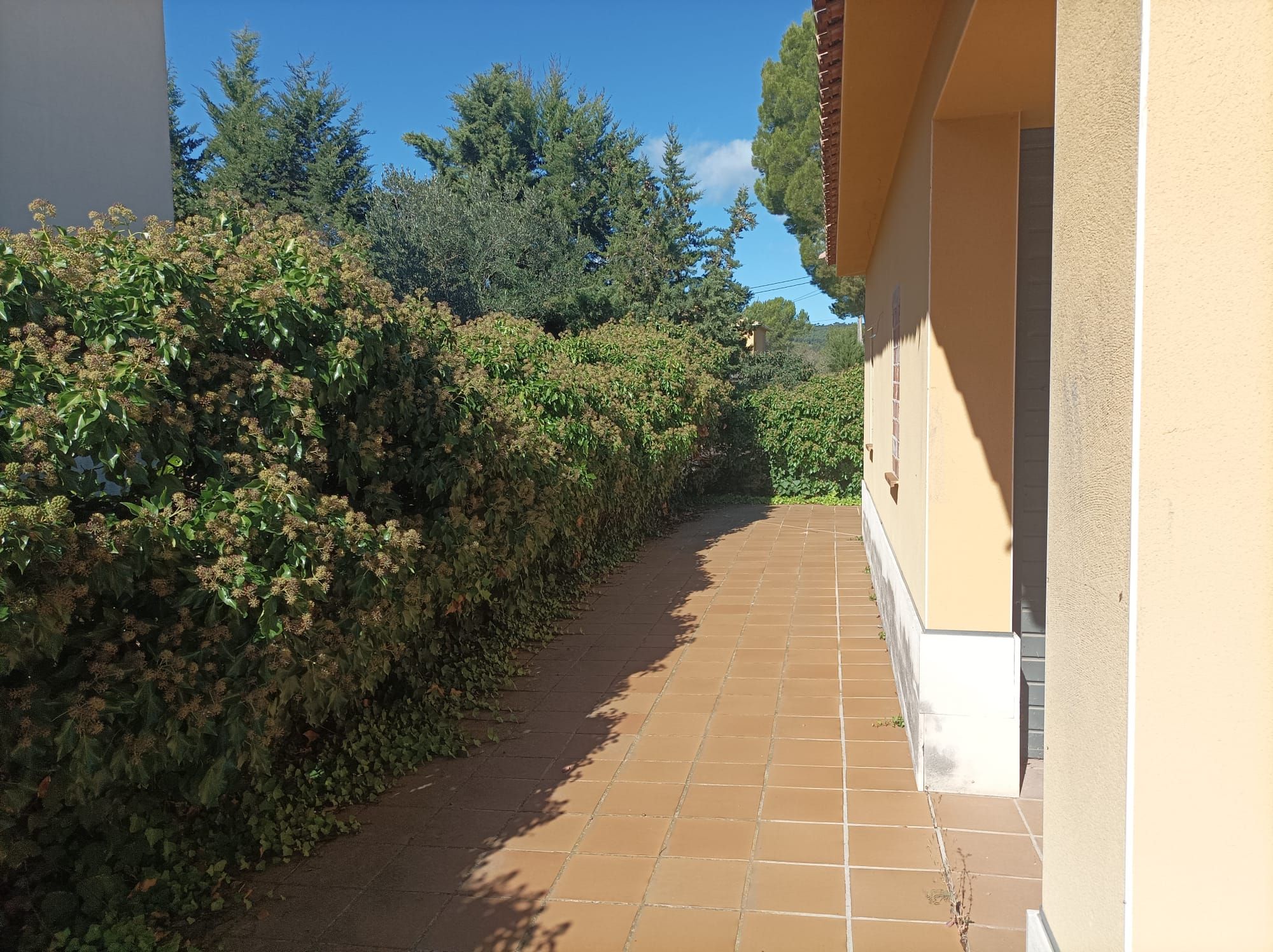 Jardí de Casa o xalet en venda en Querol amb Jardí privat i Piscina