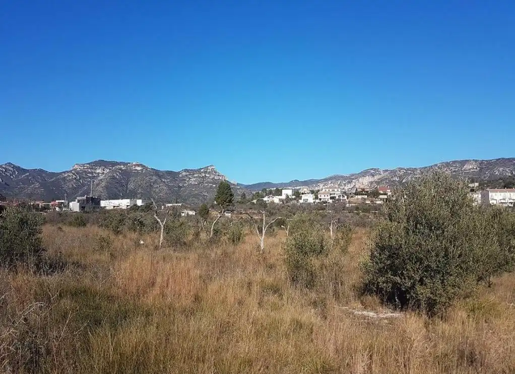 Rural land for sale in DOMENGES, imagen 4
