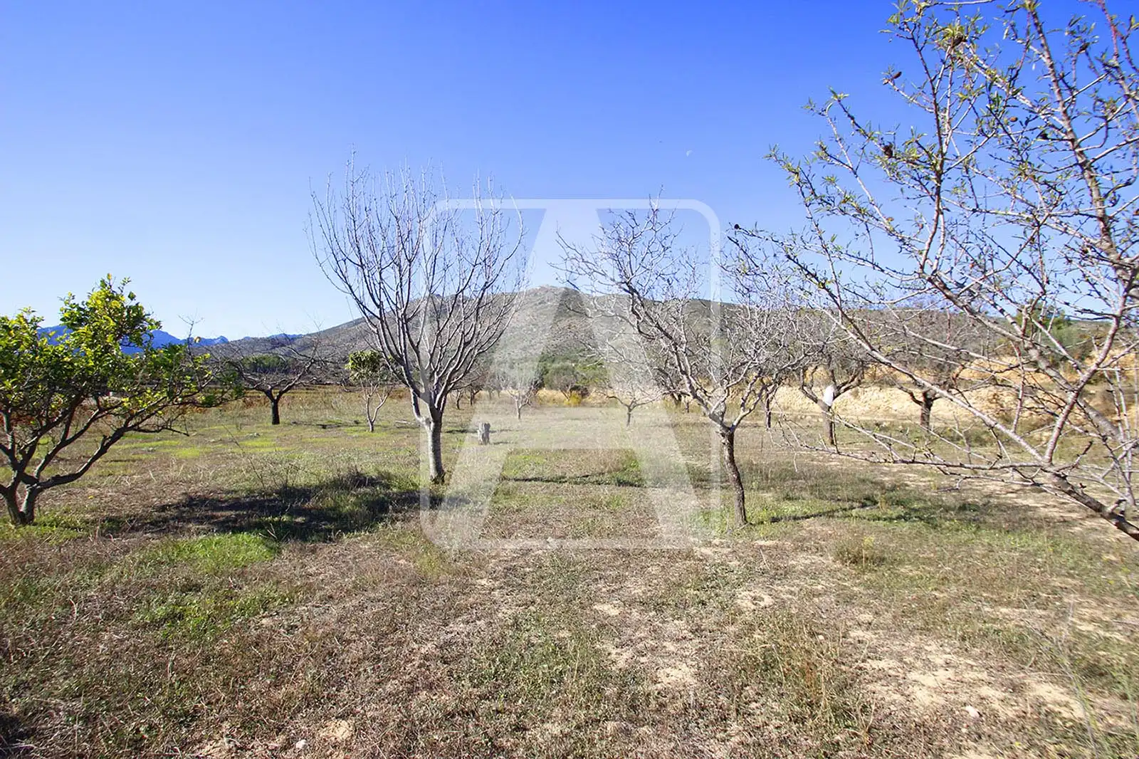 Terreny residencial en venda a Benissa pueblo