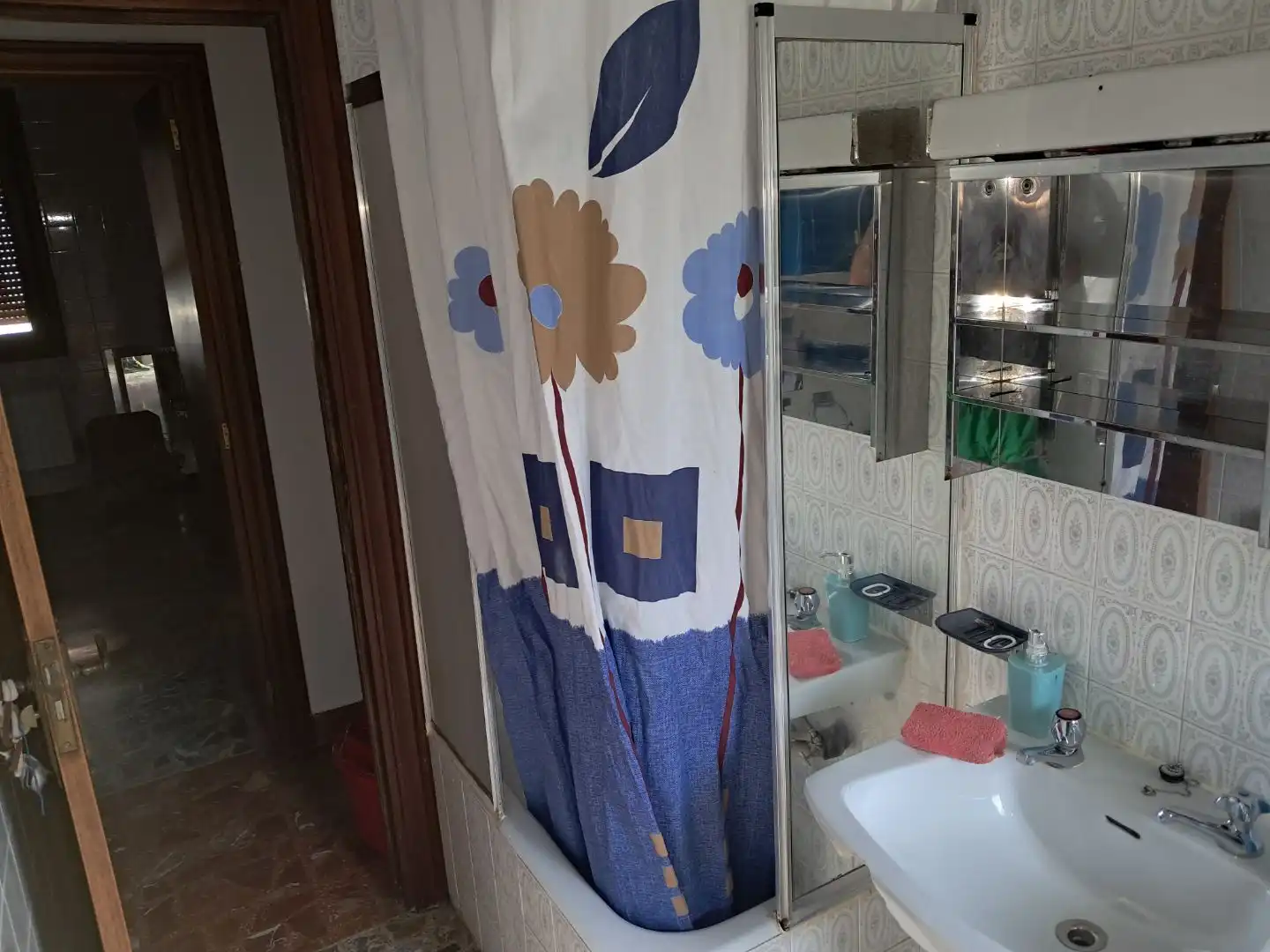Bany de Casa o xalet en venda en Ayegui / Aiegi amb Balcó