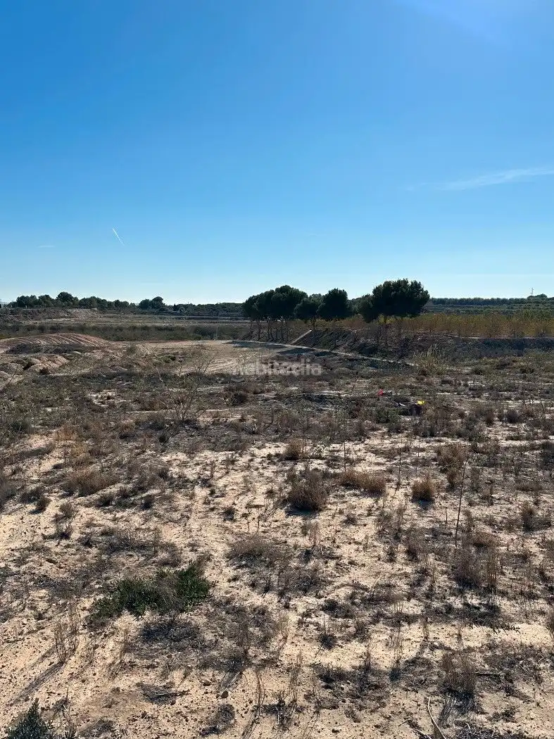 Terrain rustique à vendre à Camino de Catral 31, imagen 17